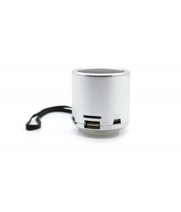 Z-12 Rechargeable Mini Speaker w/ FM Transmitter (Silver)