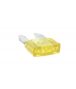 20A Automotive Car Fuse (Small Size, 15-Pack)