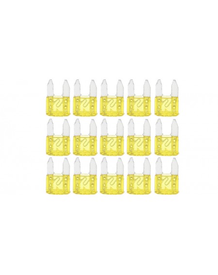 20A Automotive Car Fuse (Small Size, 15-Pack)